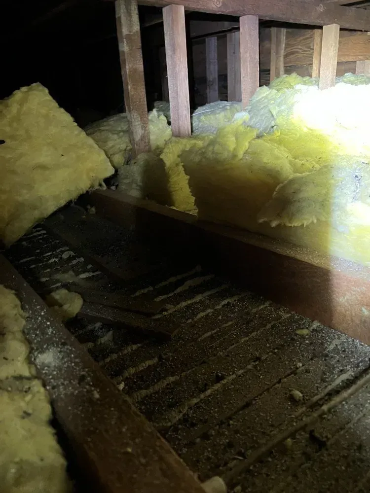 There is a lot of insulation in the attic.
