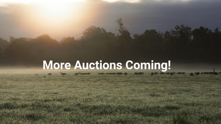 auto & bicycle auction