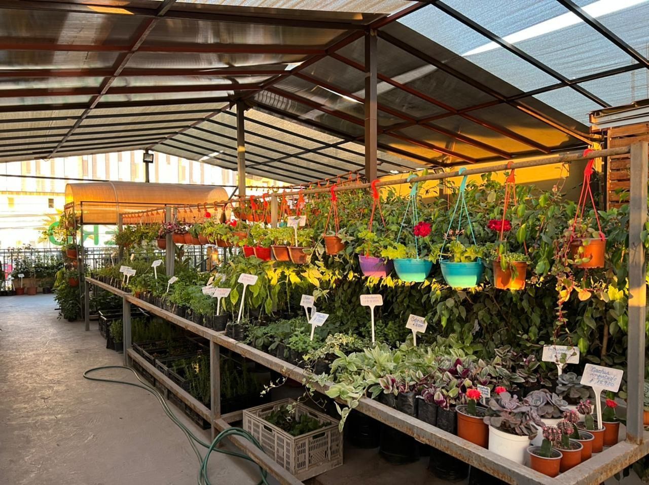 Jardín Con con