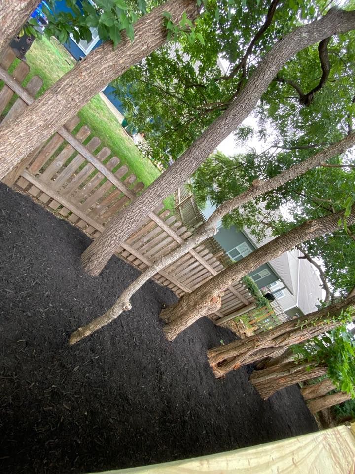 Tilted view of a backyard with several trees, a wooden fence, and dark gravel ground