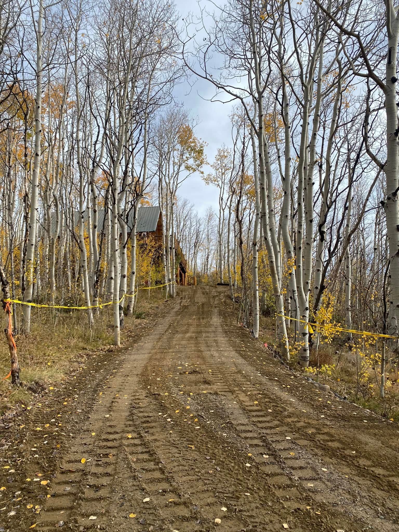 Dirt road through bare autumn trees with yellow caution tape and a small wooden structure ahead