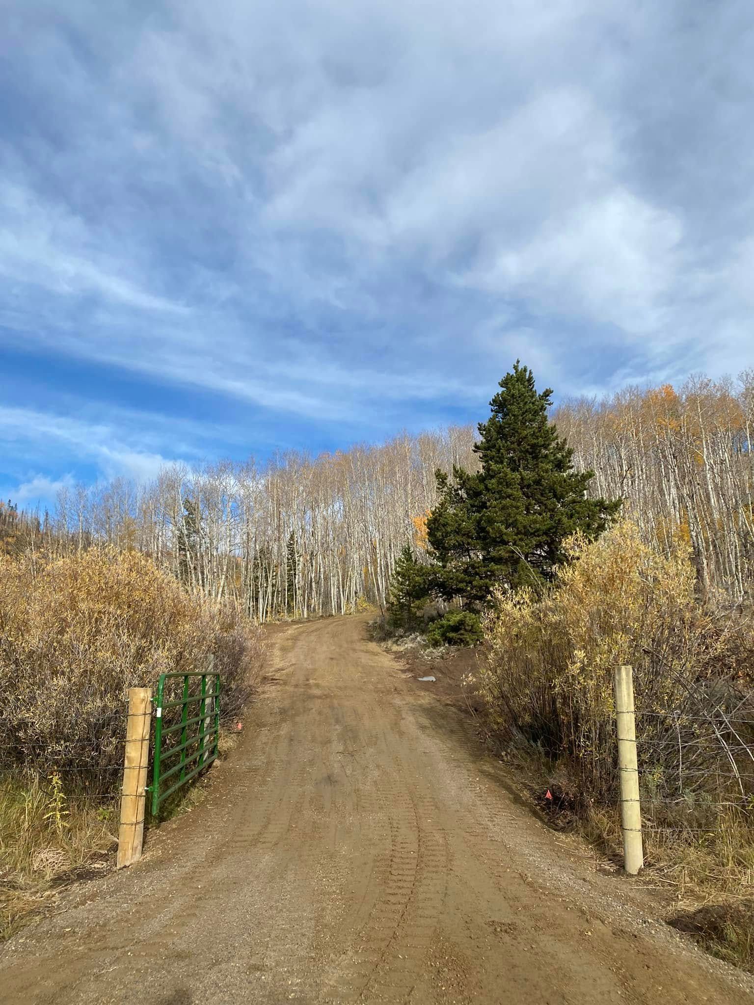 Dirt road rising through autumn brush and trees under a partly cloudy blue sky