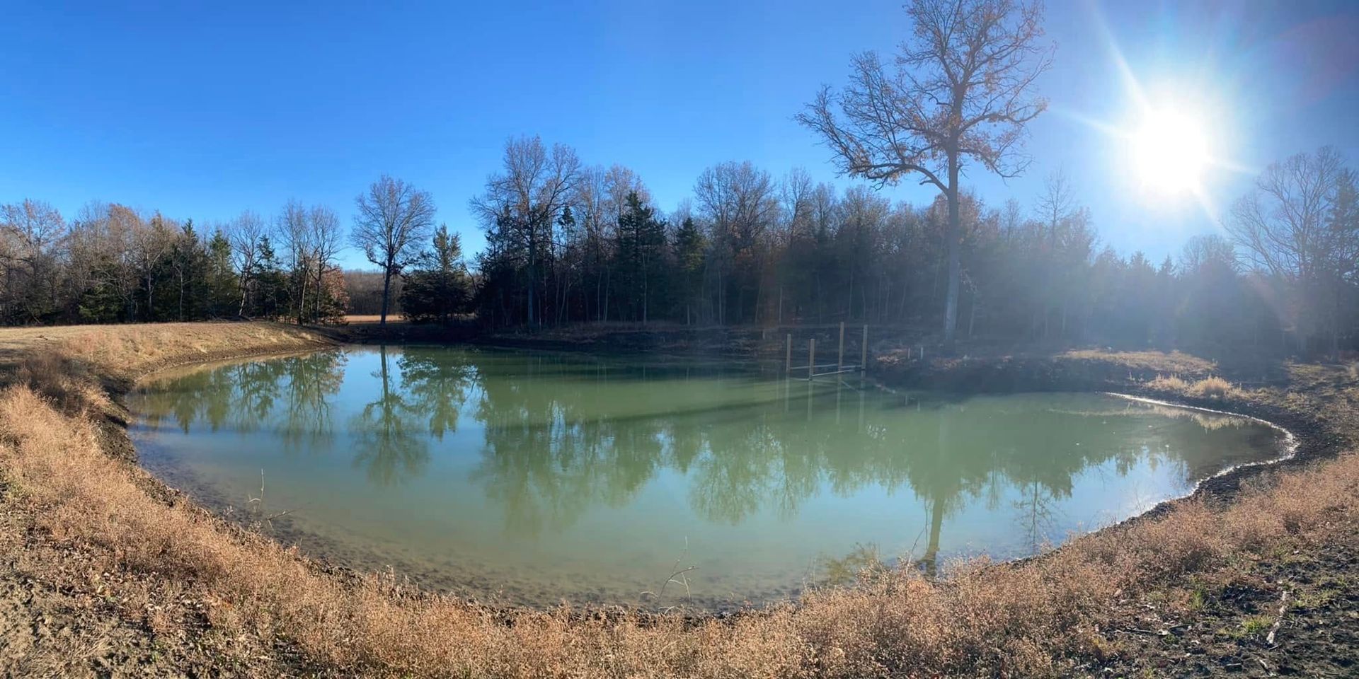 Sunny pond with clear water, grassy bank, bare trees, and blue sky reflections