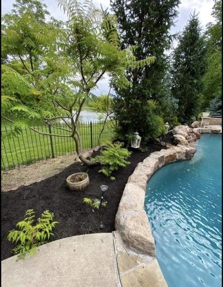 Curved backyard pool edge beside black mulch, small trees, and a fenced lawn under a cloudy sky