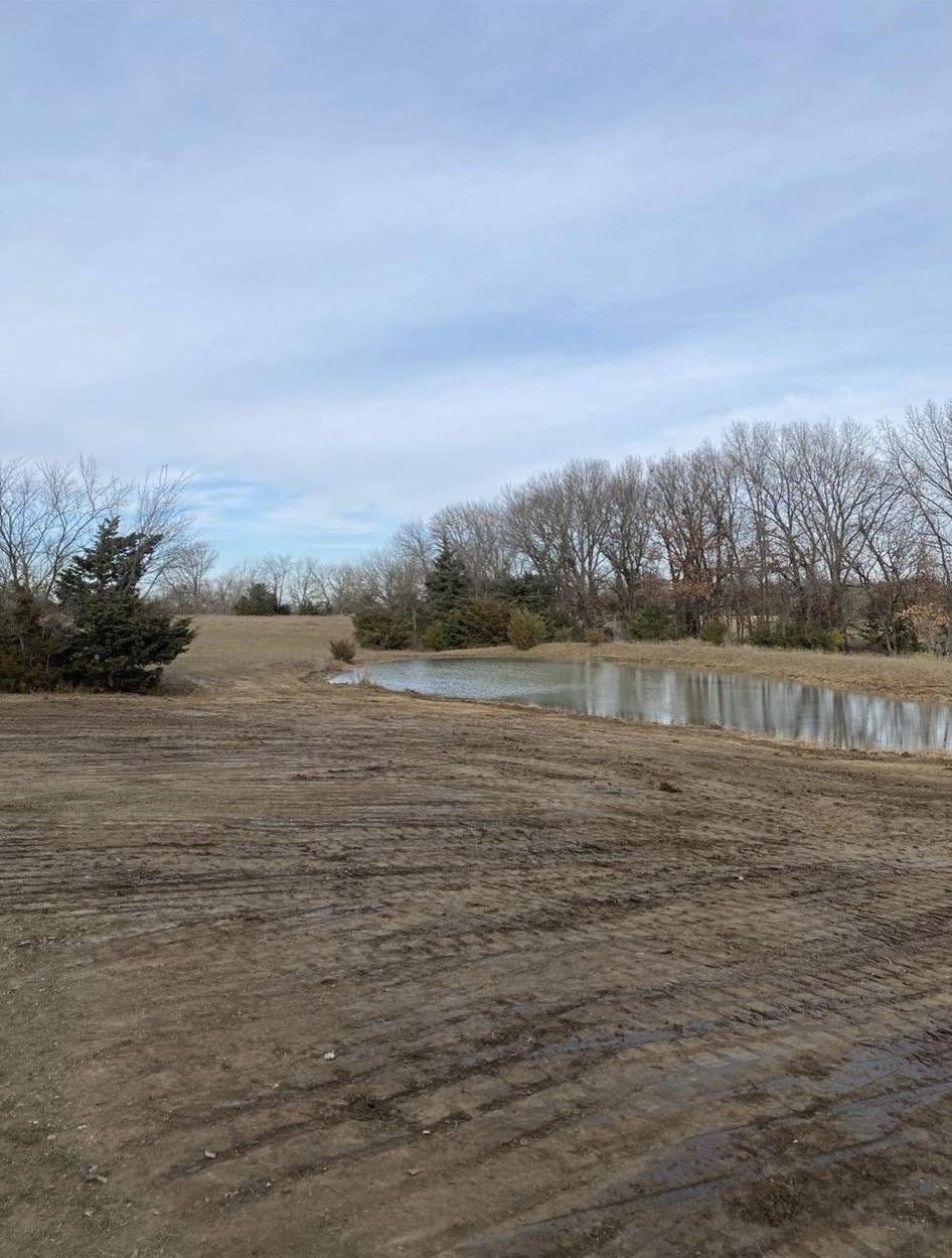 Dirt path beside a calm river under a cloudy sky, lined with bare trees and winter brush