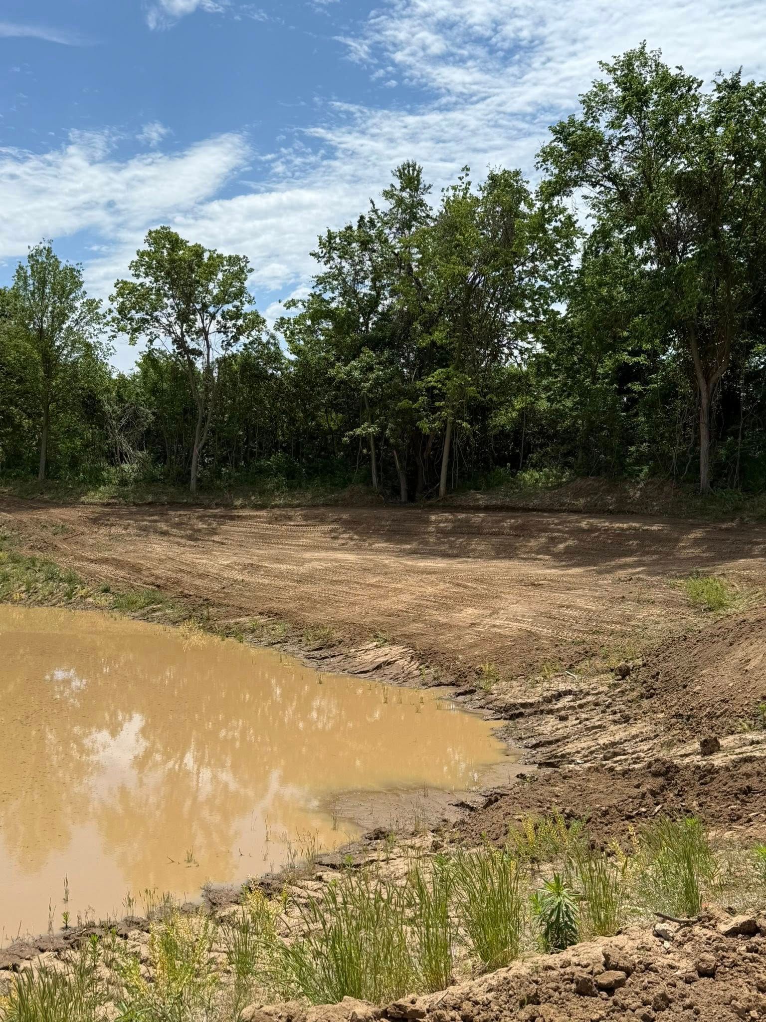 Muddy pond beside a dirt clearing with green trees under a blue sky