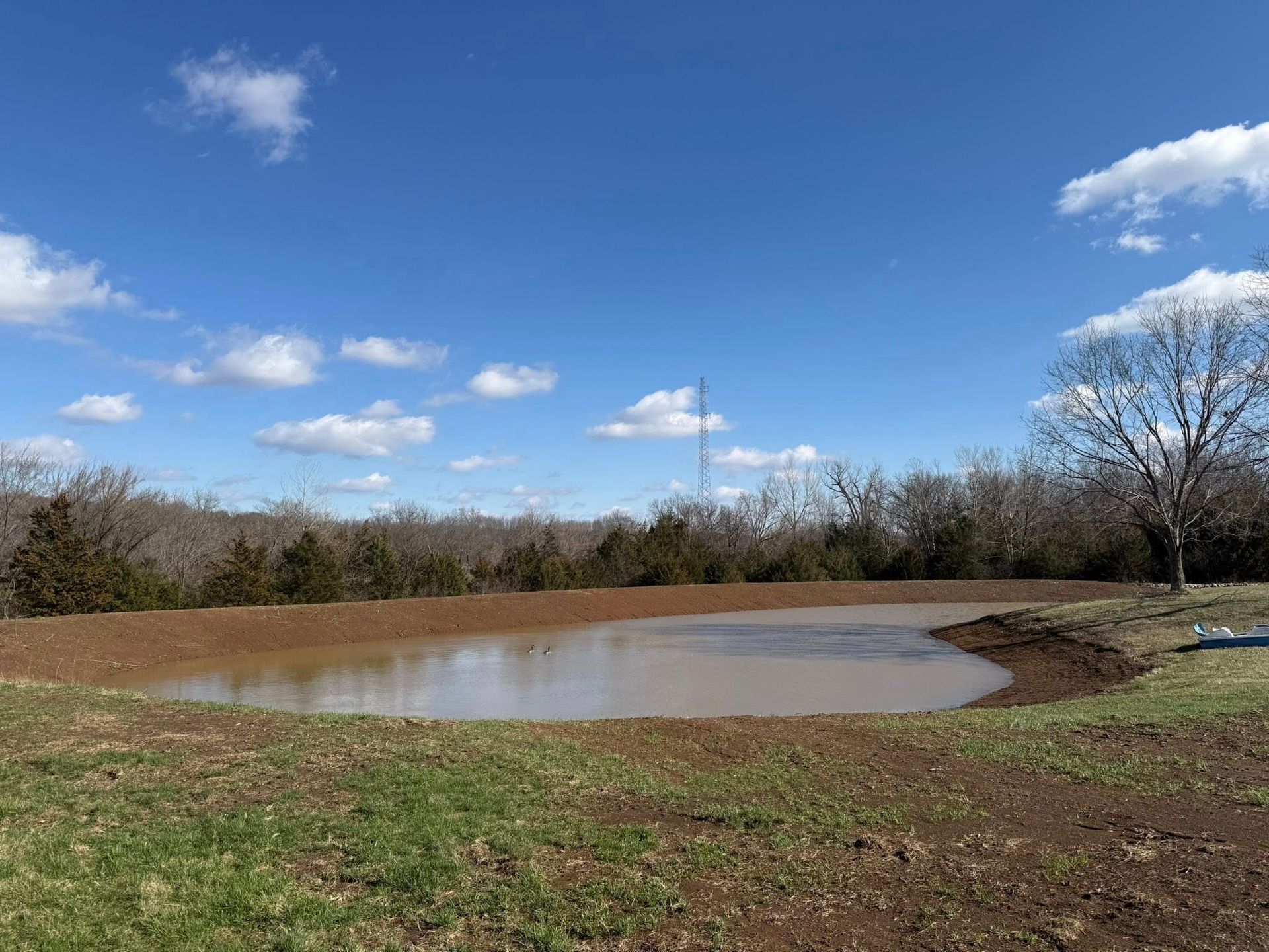 Small muddy pond in a grassy field under a blue sky with clouds and trees in the background