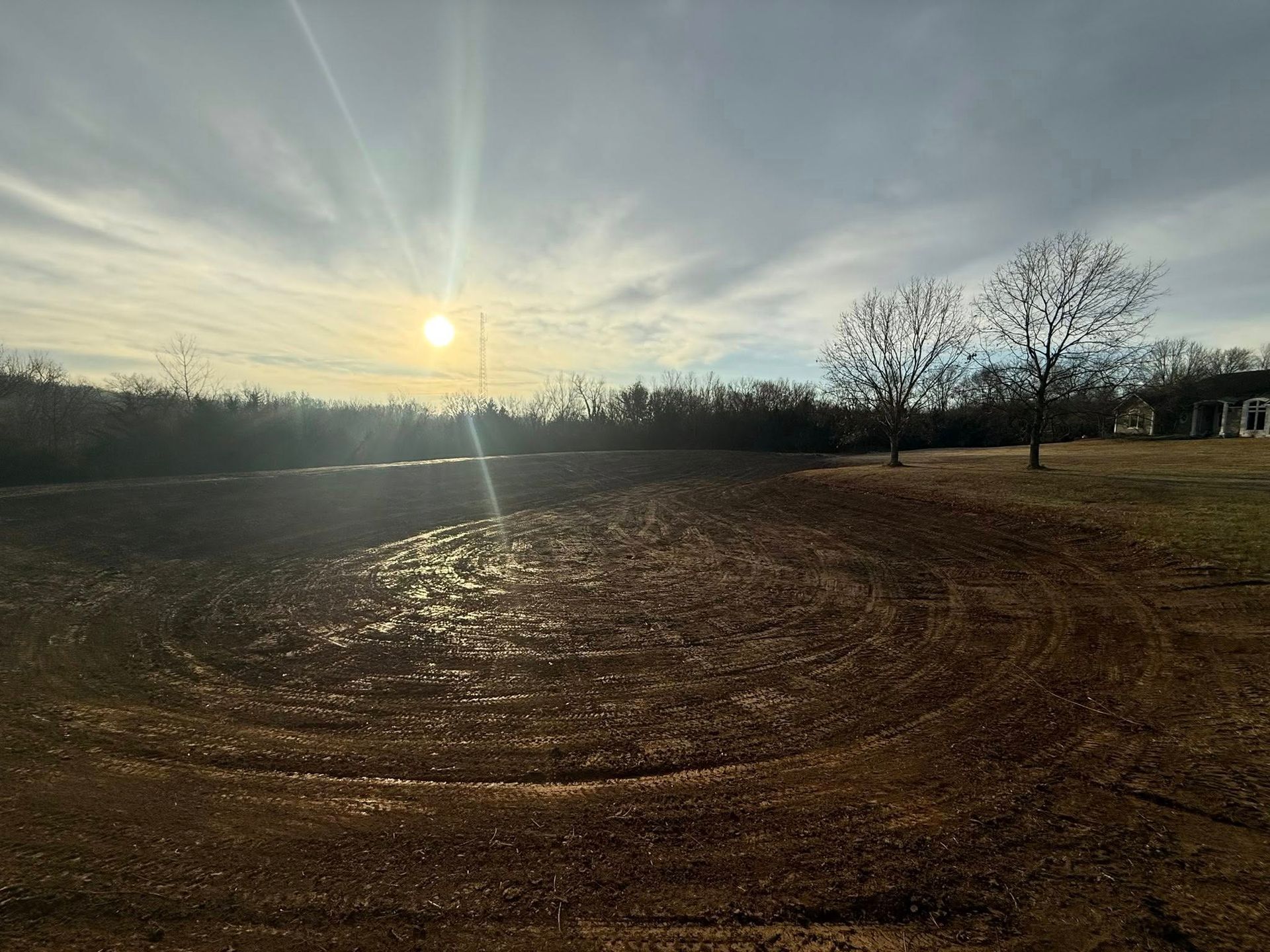 Sun setting over a grassy field with bare trees and a bright sky