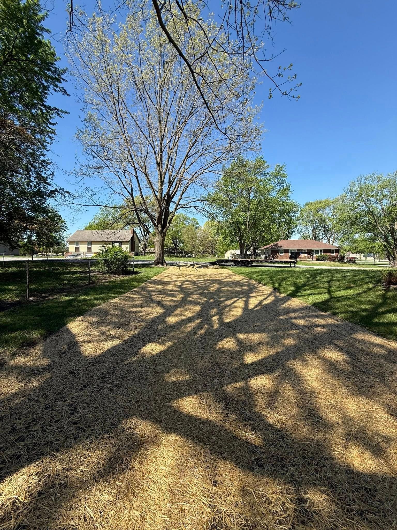 Shady park lawn with a leafless tree in the foreground and houses under a clear blue sky.