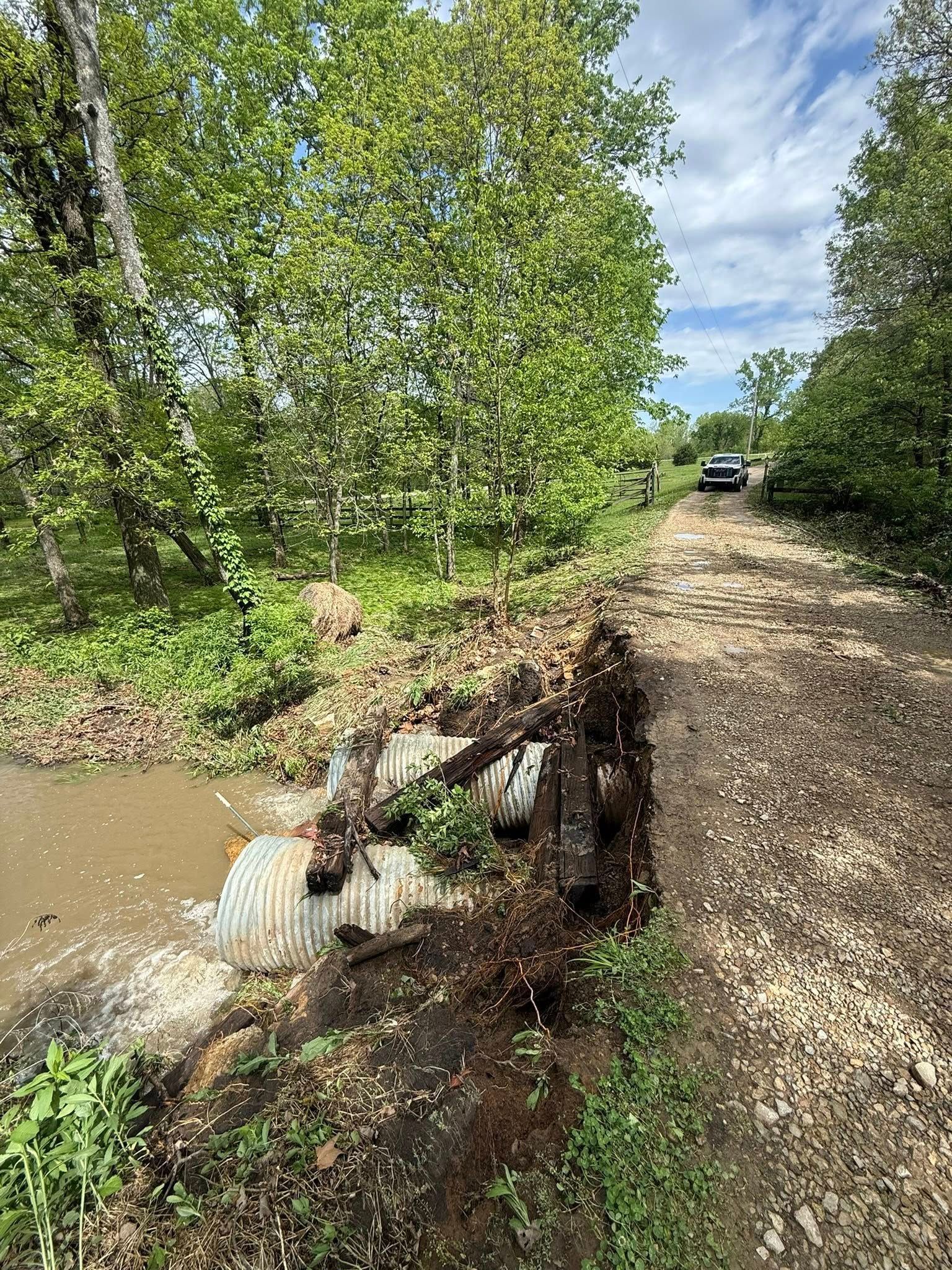 Flooded dirt road beside trees, with muddy water washing out a fallen tree trunk.