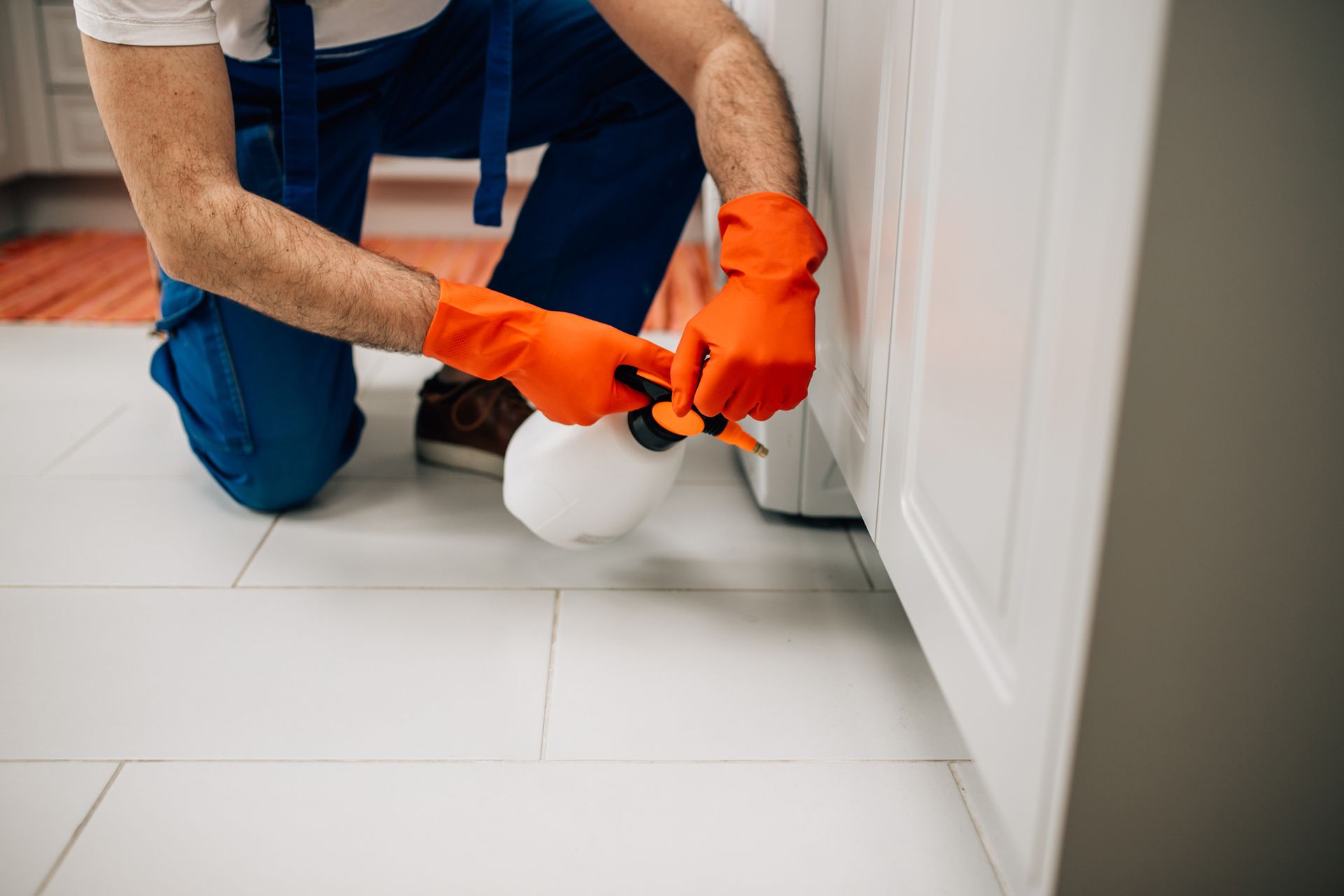 Exterminator spraying pesticide in kitchen, showcasing professional home pest control services.