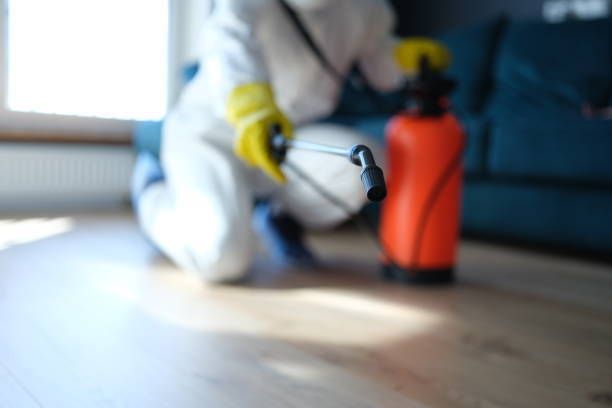 Person in white gloves spraying an orange bottle on a wooden floor beside a couch.