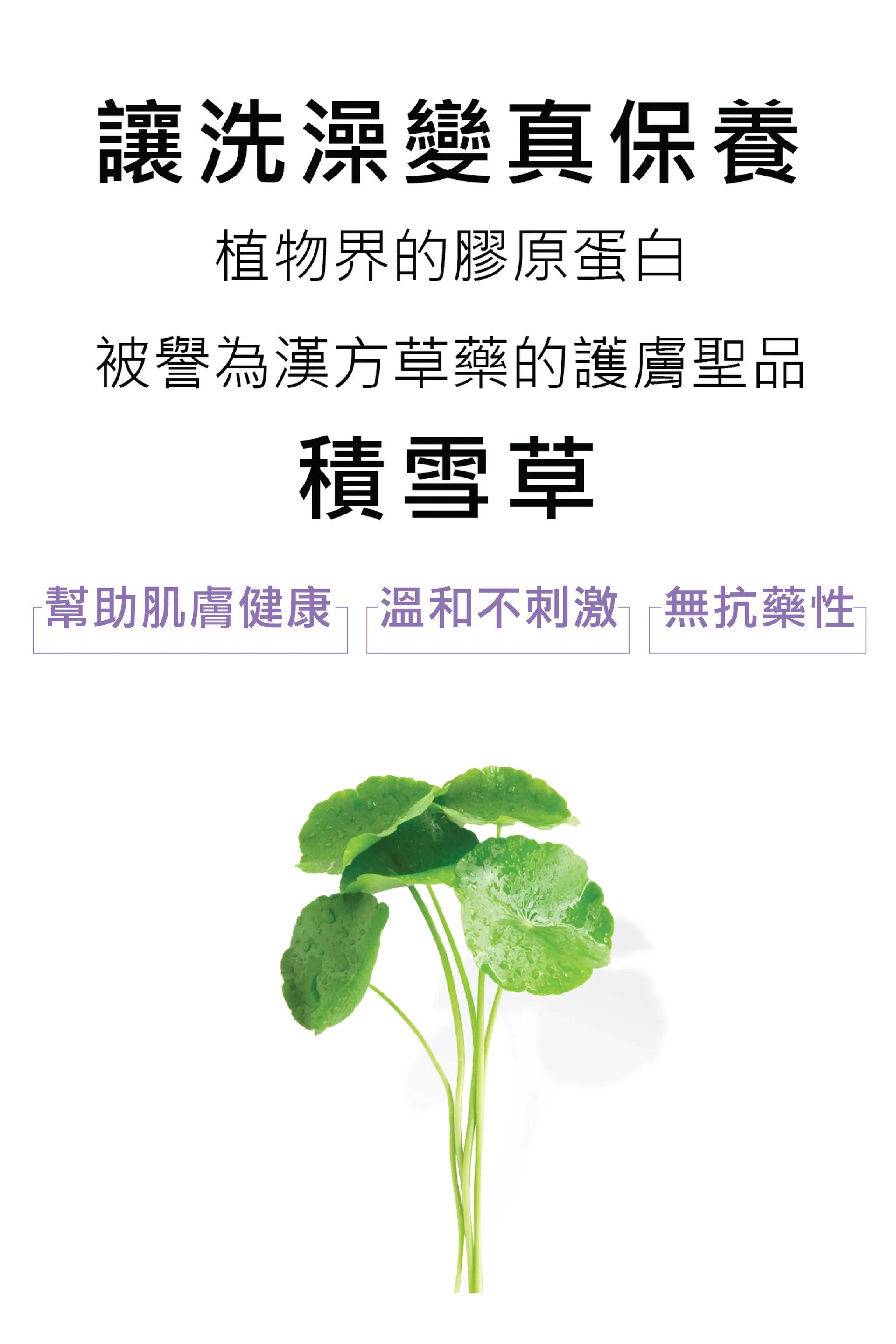 水魔素保濕護膚洗毛精添加積雪草