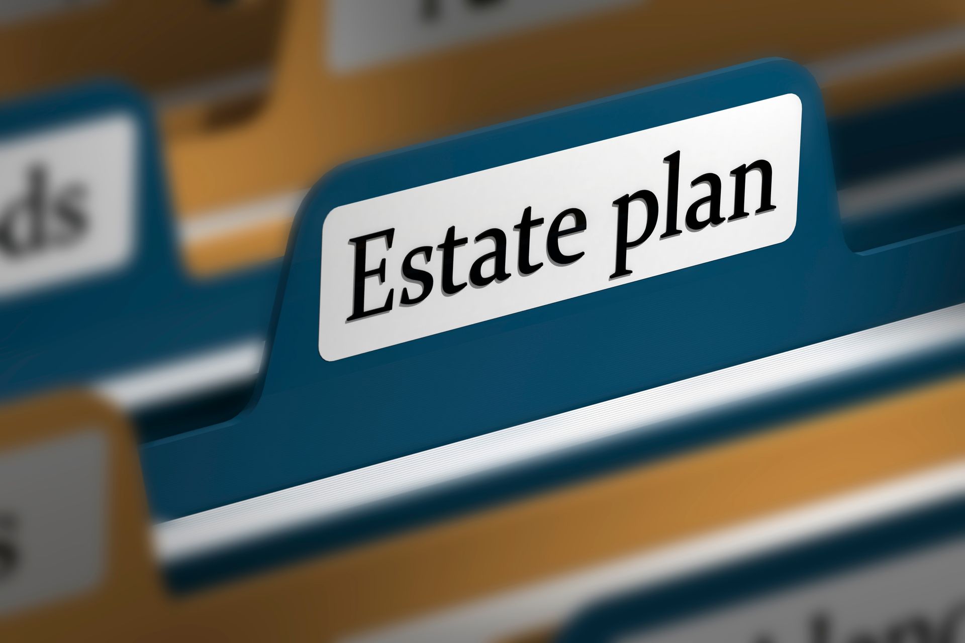 A close-up of a blue hanging file folder with a white label that reads Estate plan in black text. A close-up of a blue hanging file folder with a white label that reads Estate plan in black text.