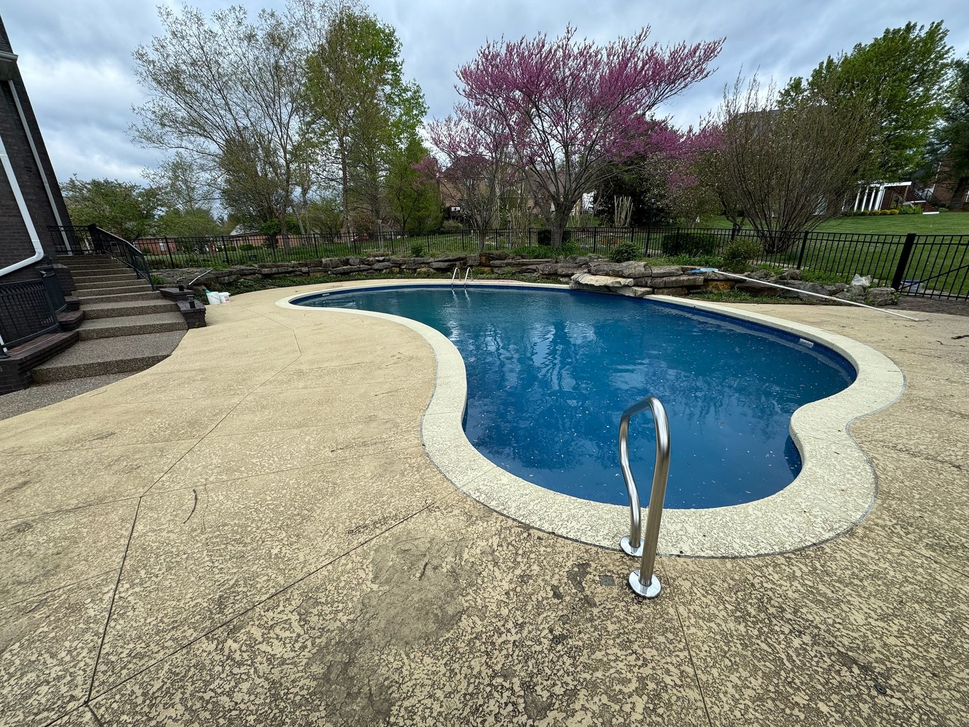 Backyard swimming pool with curved light stone deck and spring trees in the background