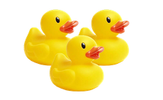 Three yellow rubber ducks with orange beaks on a white background