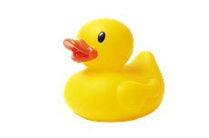 Yellow rubber duck with an orange beak on a white background