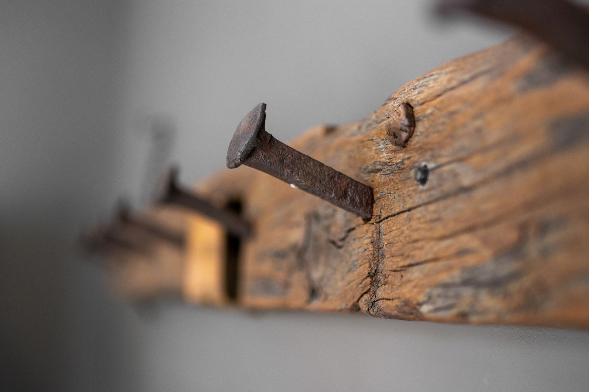 Close-up of rusty nails protruding from a weathered wooden beam against a blurred gray background