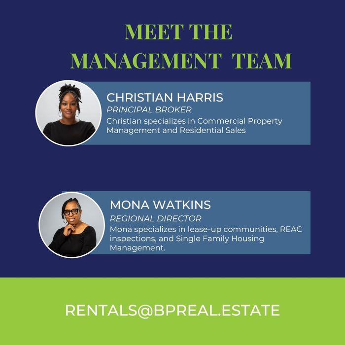 Meet the Team!