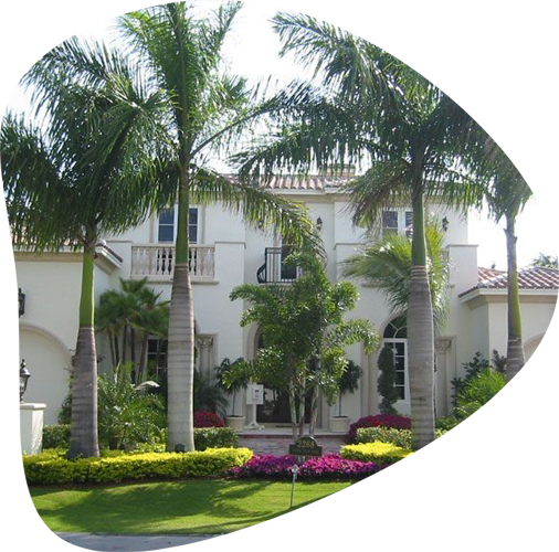 beautiful landscape with palm trees in front of house