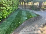 A brick walkway leading to a lush green lawn.