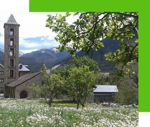 Església de pedra amb campanar en una vall verda de muntanya, emmarcada per arbres i flors silvestres.