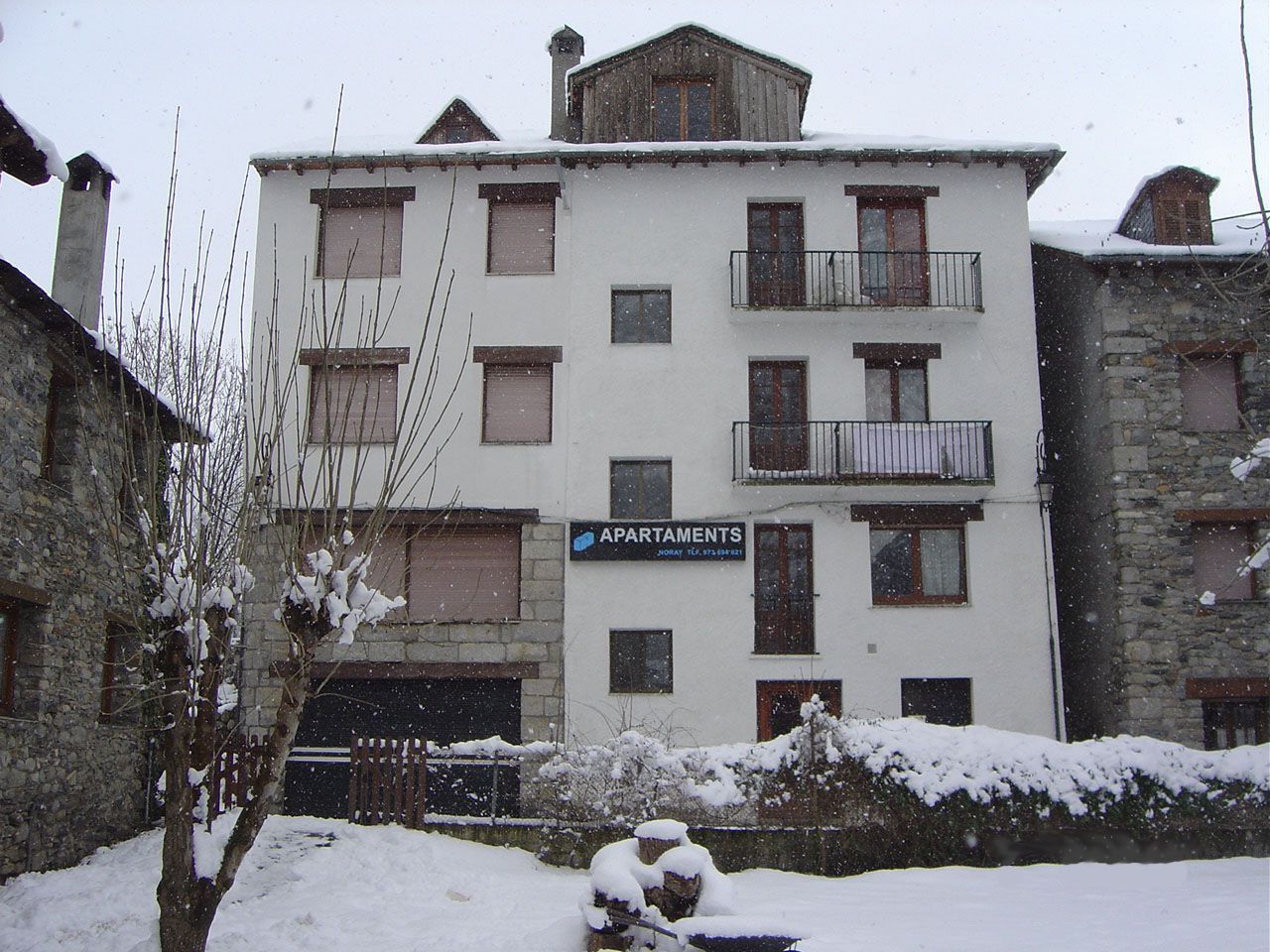 Edifici d'apartaments cobert de neu en un carrer tranquil d'un poble, amb arbres sense fulles i balcons