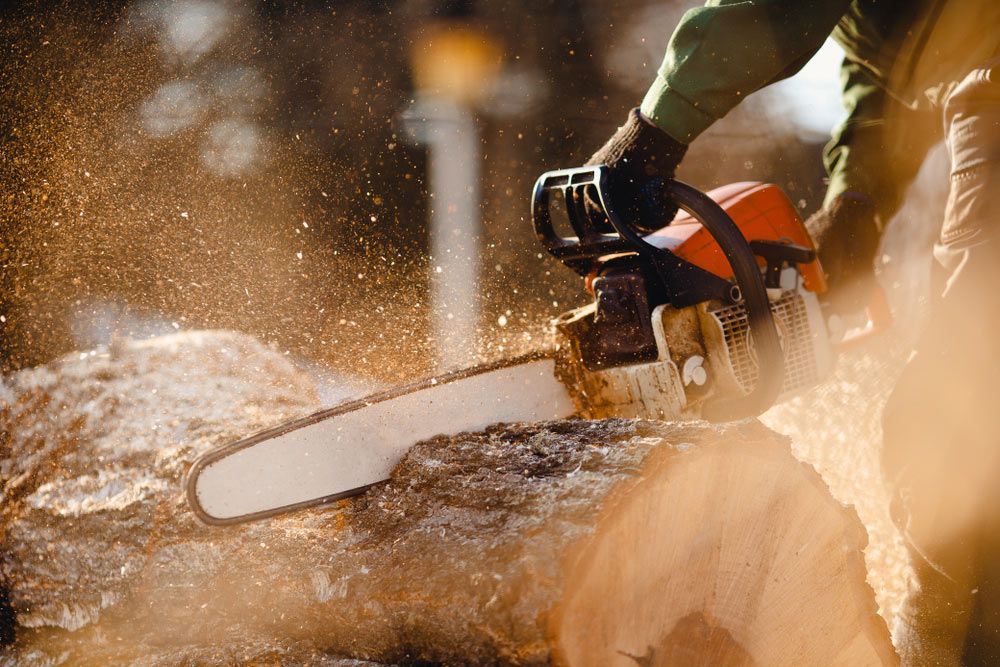 A Man is Cutting a Tree With a Chainsaw — Coastal Arborist Services in Cannonvale, QLD