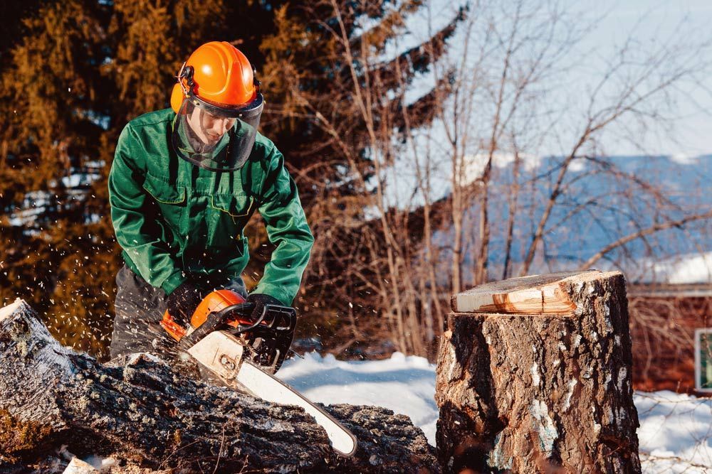 A Man is Cutting a Log With a Chainsaw in the Snow — Coastal Arborist Services in Airlie Beach, QLD