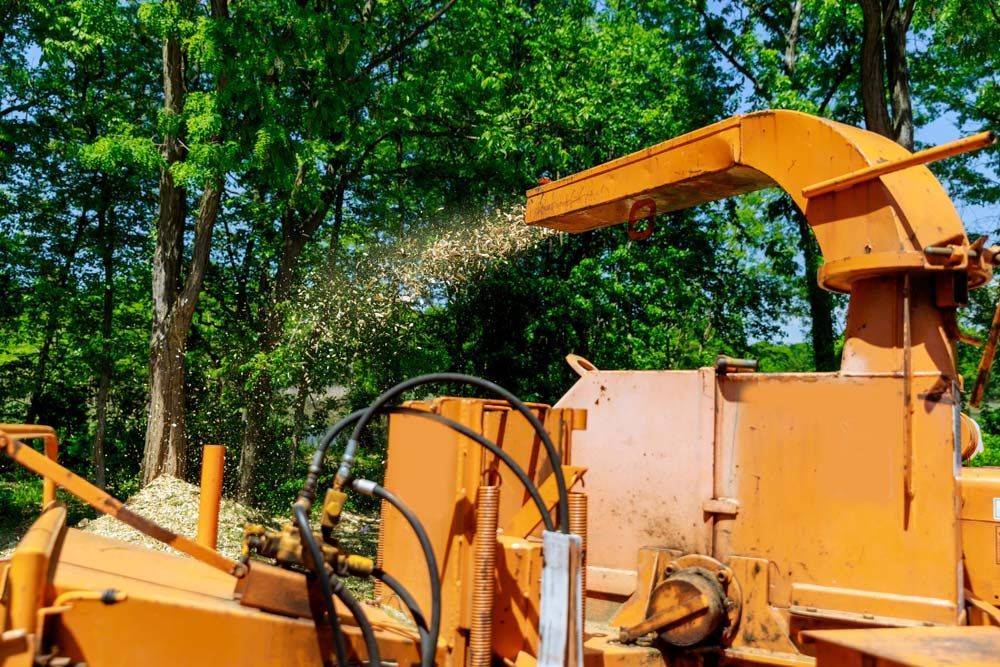 A Tree Chipper is Cutting Down Trees in a Forest — Coastal Arborist Services in Airlie Beach, QLD