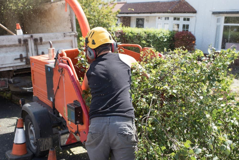 A Man is Cutting a Tree With a Machine — Coastal Arborist Services in Airlie Beach, QLD