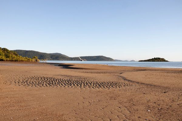 A Sandy Beach With Mountains in the Background and a Body of Water — Coastal Arborist Services in Cannonvale, QLD