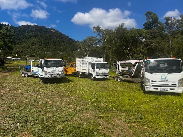 A row of trucks are parked in a grassy field — Coastal Arborist Services in Bowen, QLD