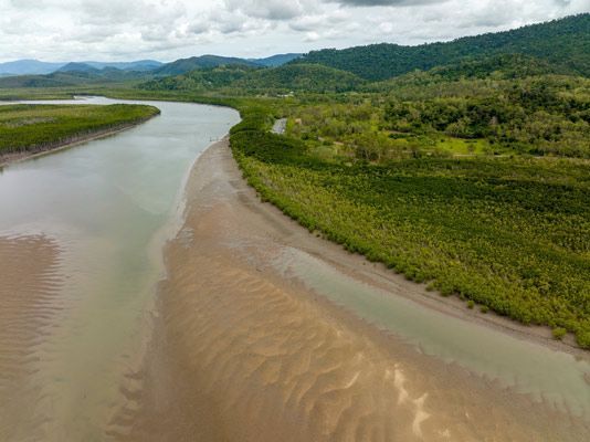 An Aerial View of a River Flowing Through a Lush Green Forest — Coastal Arborist Services in Proserpine, QLD
