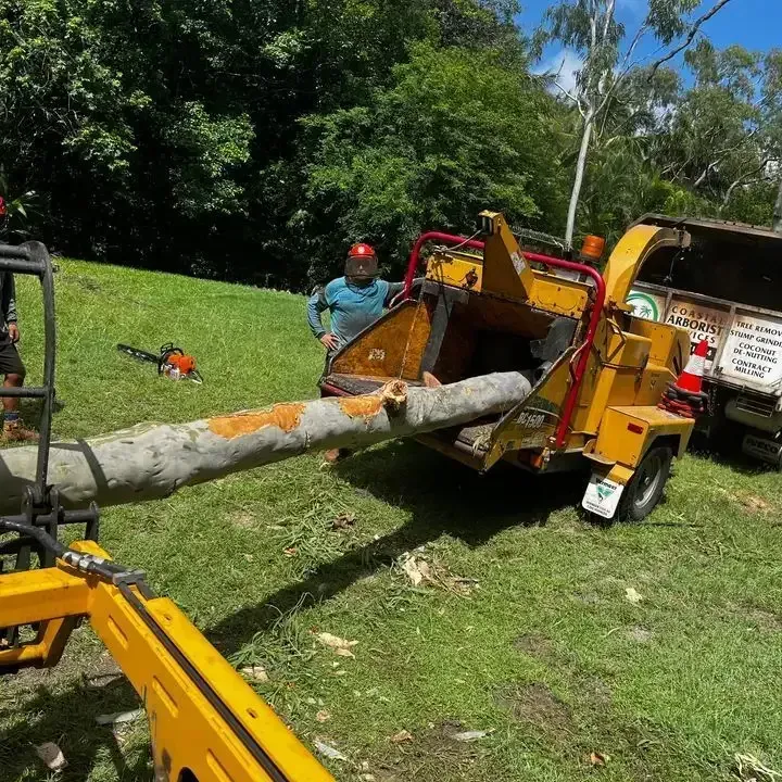A Man is Standing Next to a Machine That is Cutting a Tree — Coastal Arborist Services in Bowen, QLD