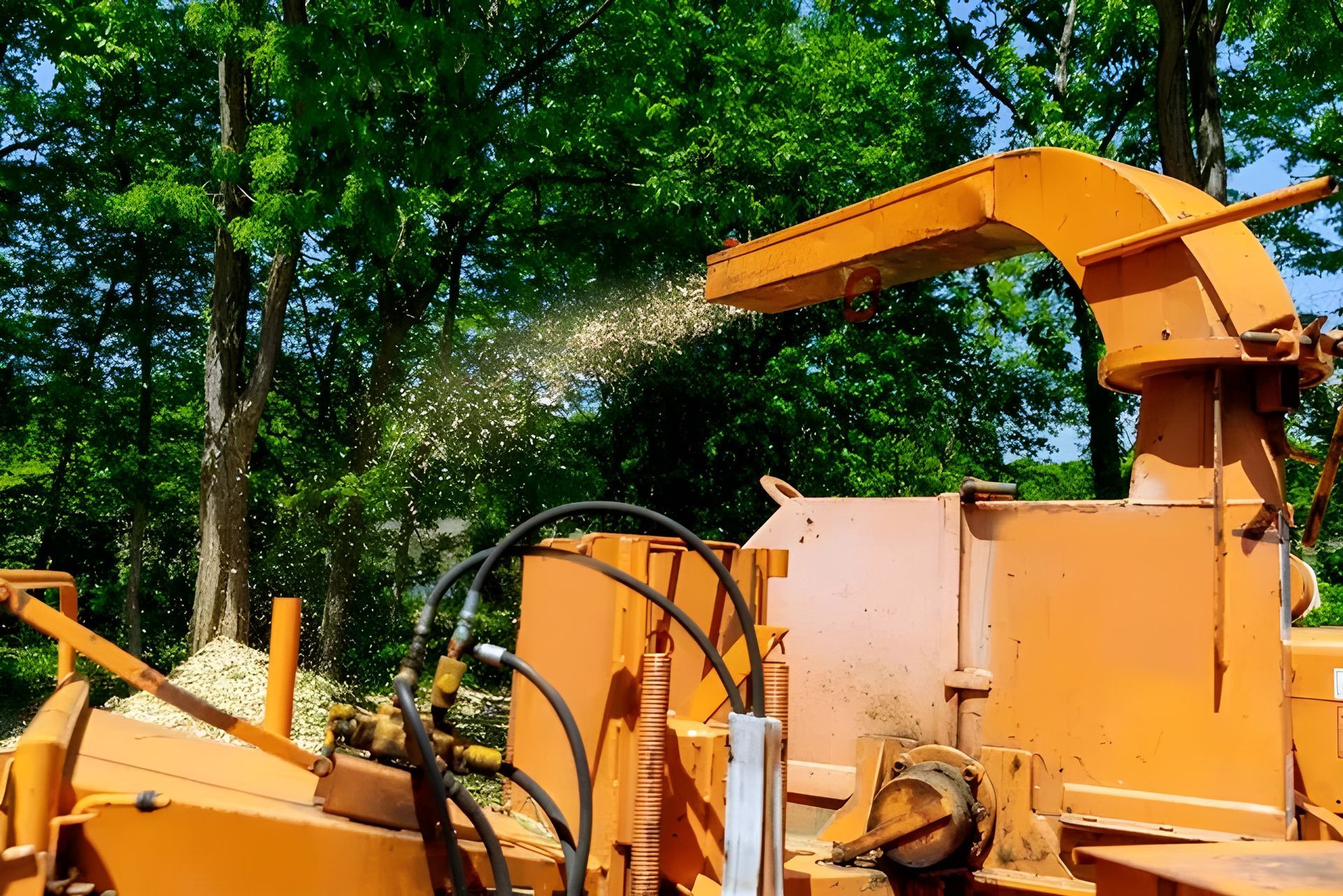 A Tree Chipper is Cutting Down Trees in a Forest — Coastal Arborist Services in Whitsundays, QLD