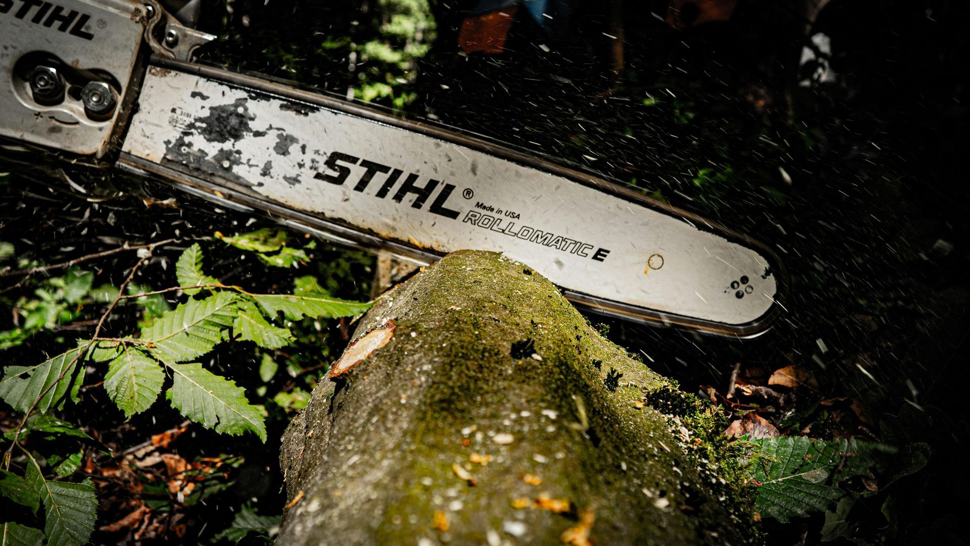 A chainsaw is sitting on top of a rock in the woods — Coastal Arborist Services in Bowen, QLD