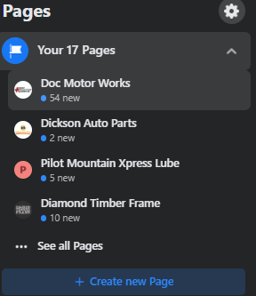 A screenshot of a facebook page showing 17 pages