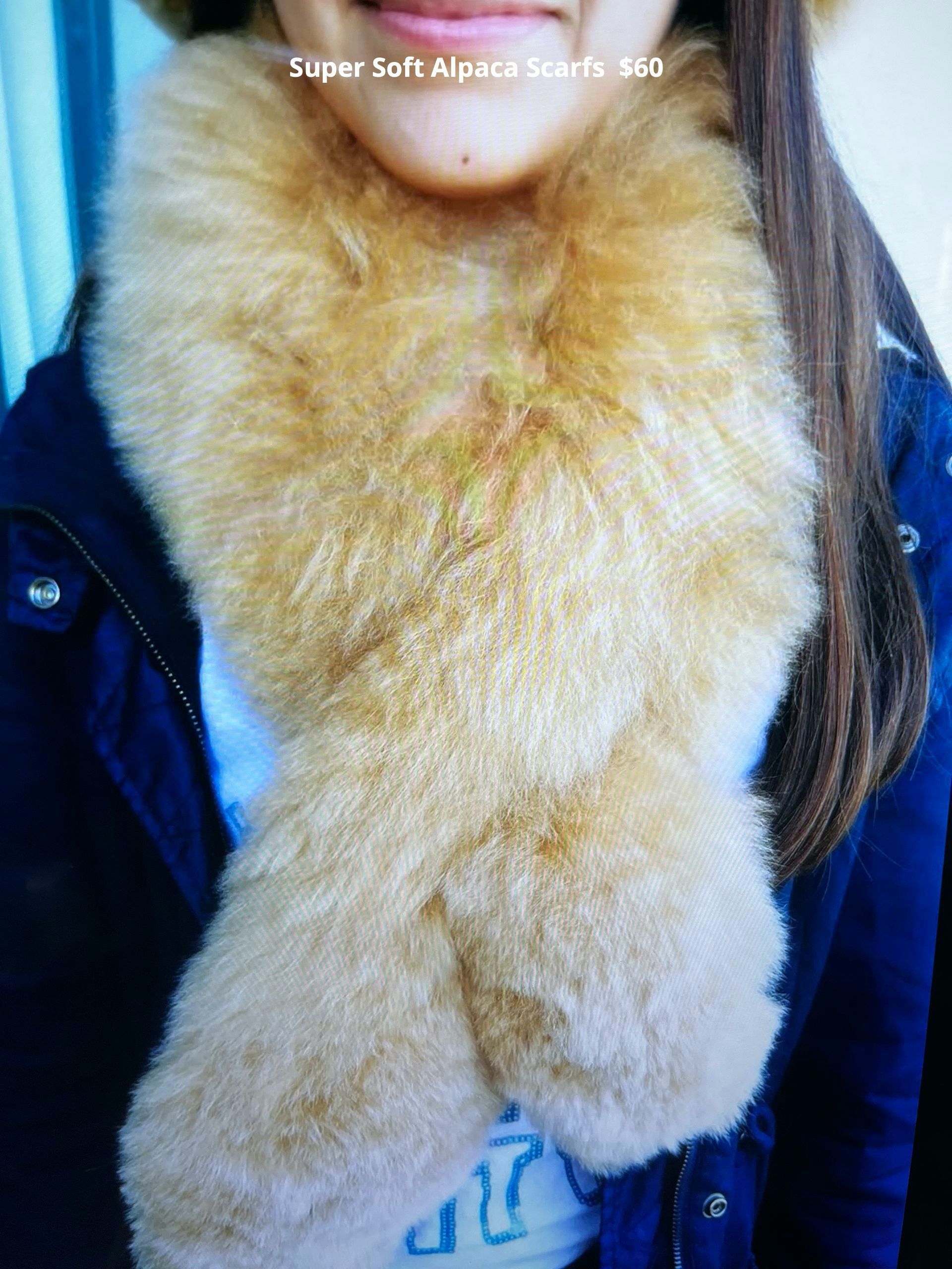 Close-up of a fluffy orange cat draped around a person’s neck like a scarf.