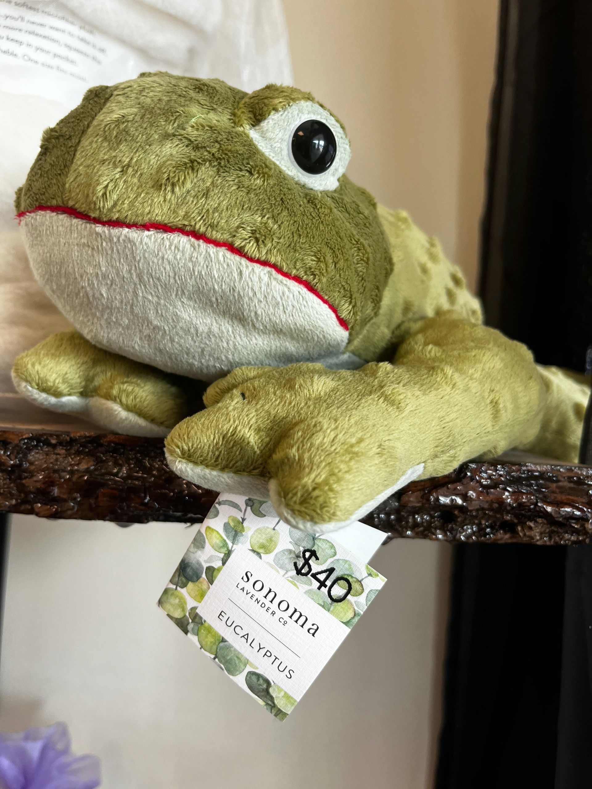 Green plush frog toy with a red mouth tag, resting on a dark wooden surface
