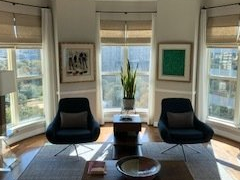 Living room with two blue chairs facing windows, artwork, and a plant.