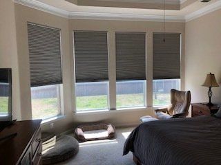 Bedroom with gray blinds, a dresser, bed, and a dog bed in front of a window with a backyard view.
