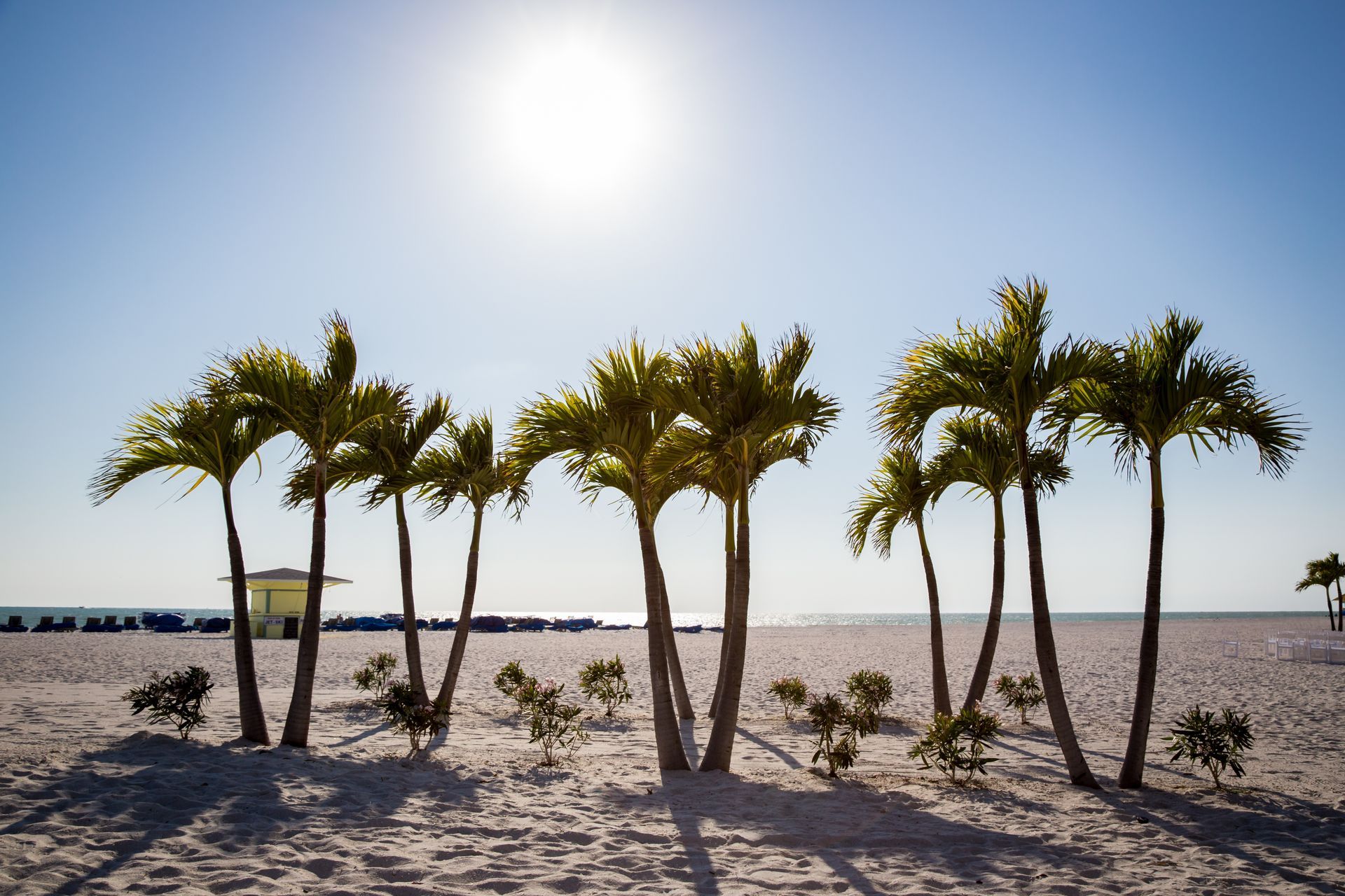 Palm trees on a sunny beach with clear blue sky and ocean horizon