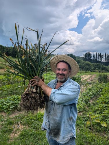 Farmer in straw hat smiles, holding harvested onions in a field under cloudy sky.