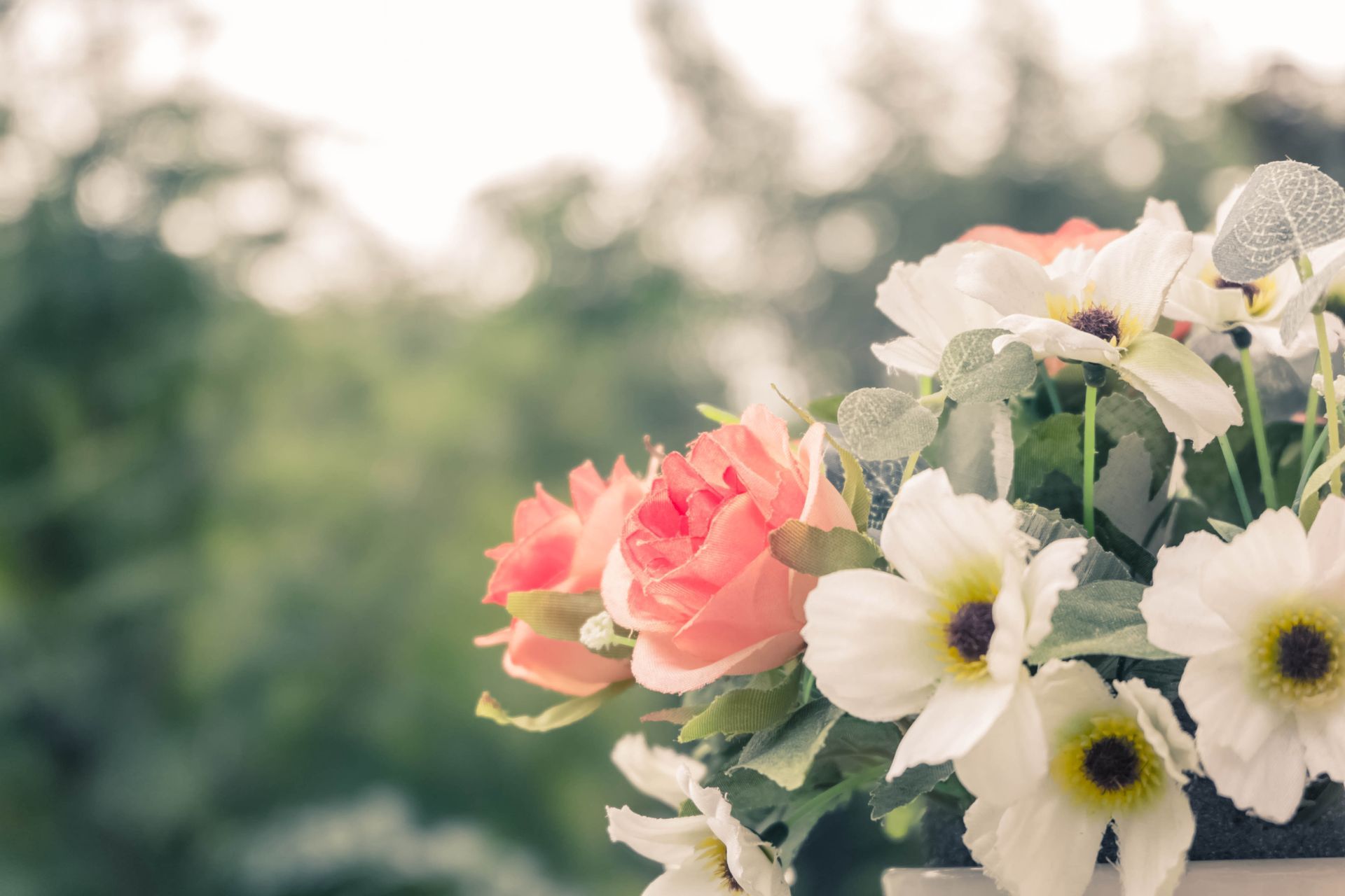 Bouquet of pink and white flowers against a soft green outdoor background