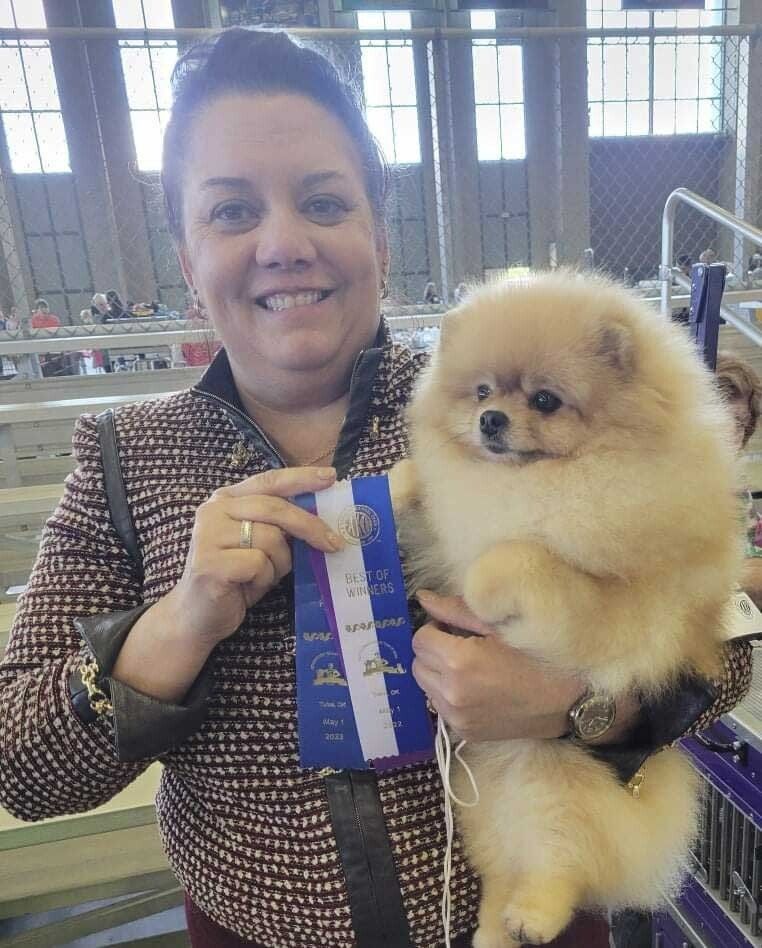 pomeranias en mexico