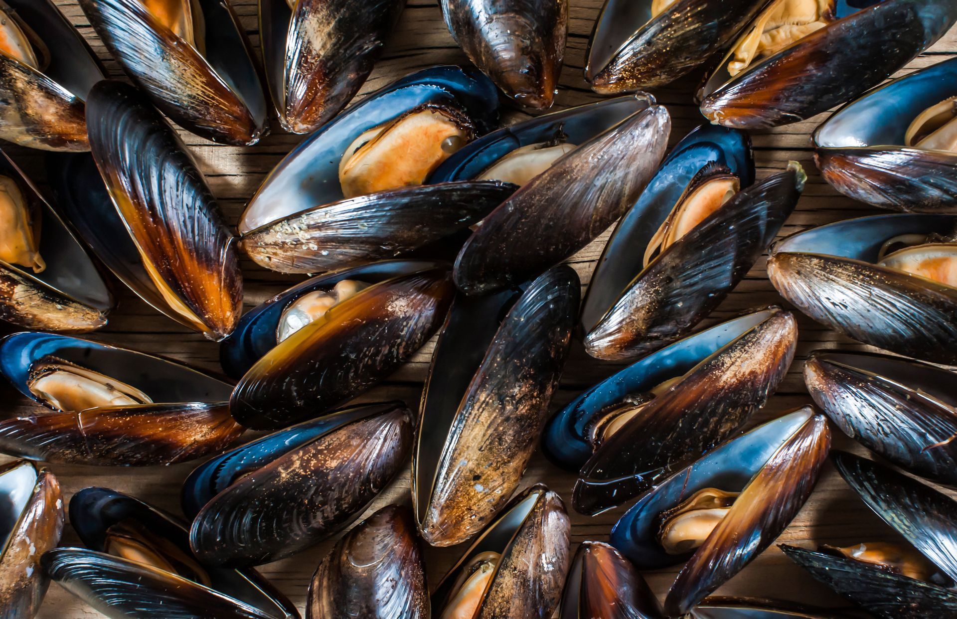 vongole