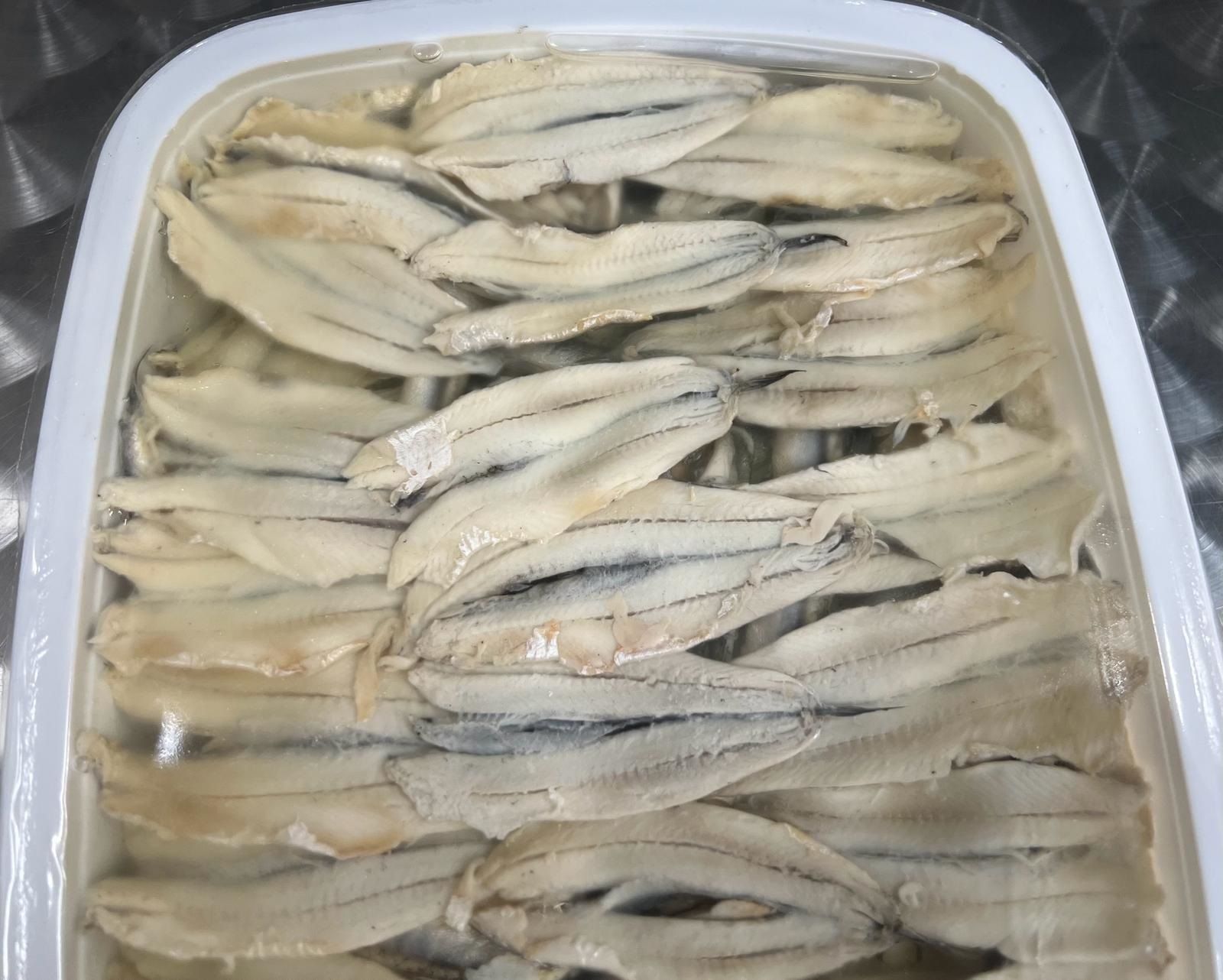 acciughe