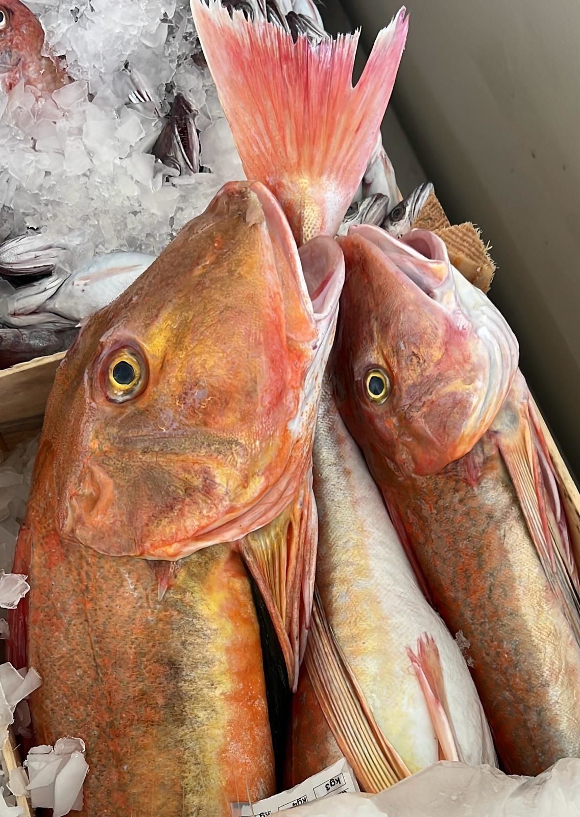 pesce fresco