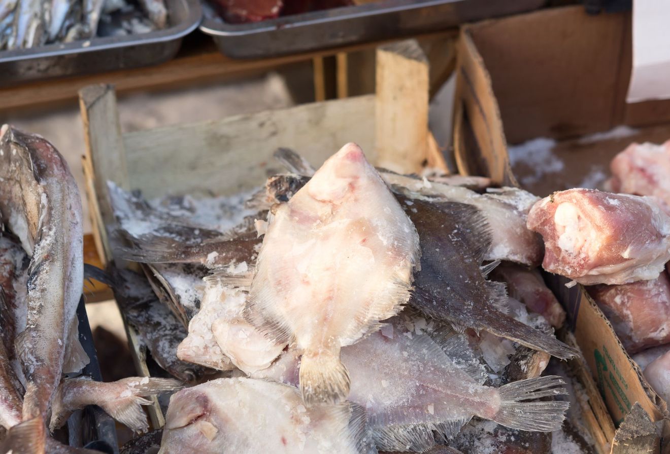 pescato fresco